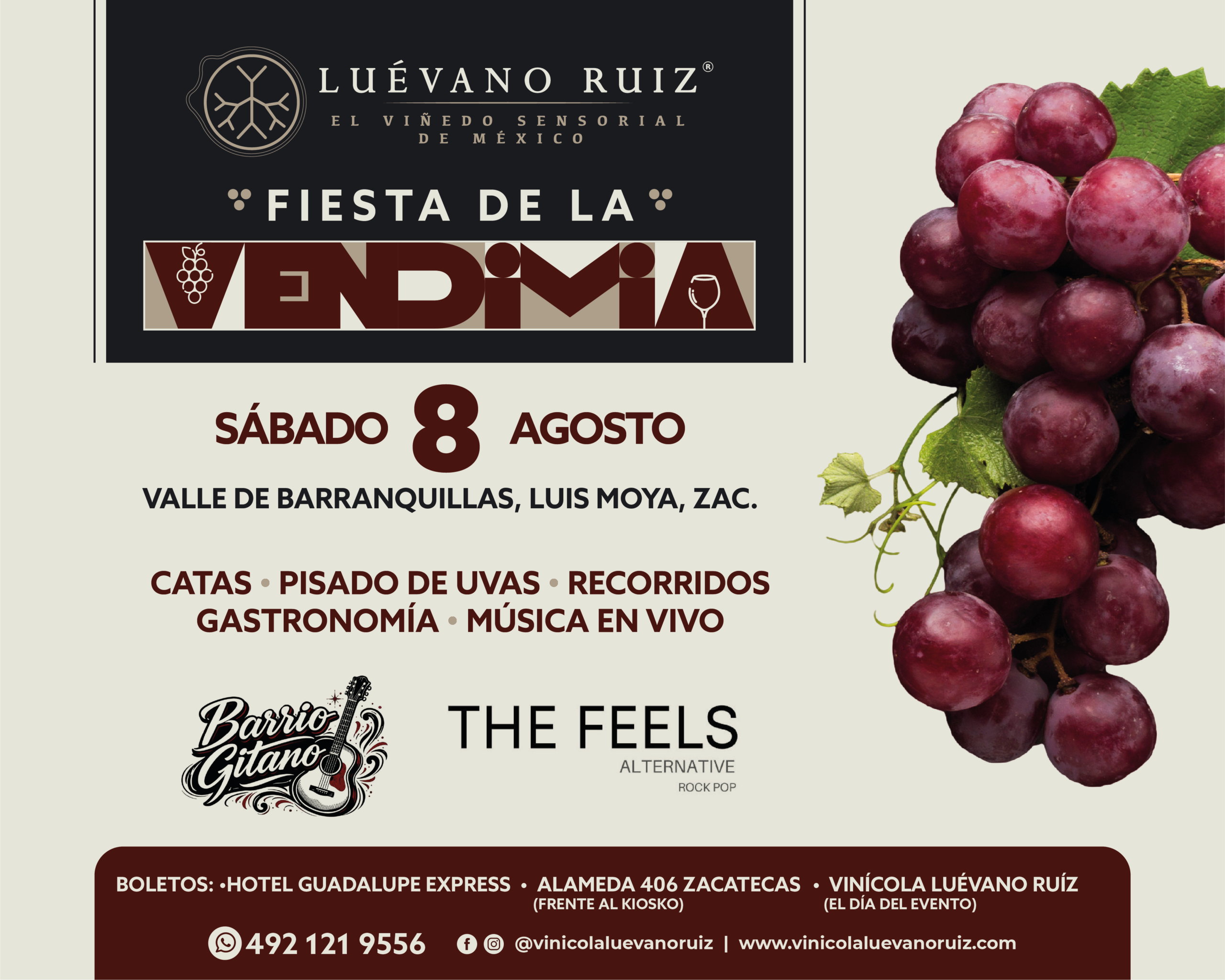 Fiesta de la Vendimia 2027