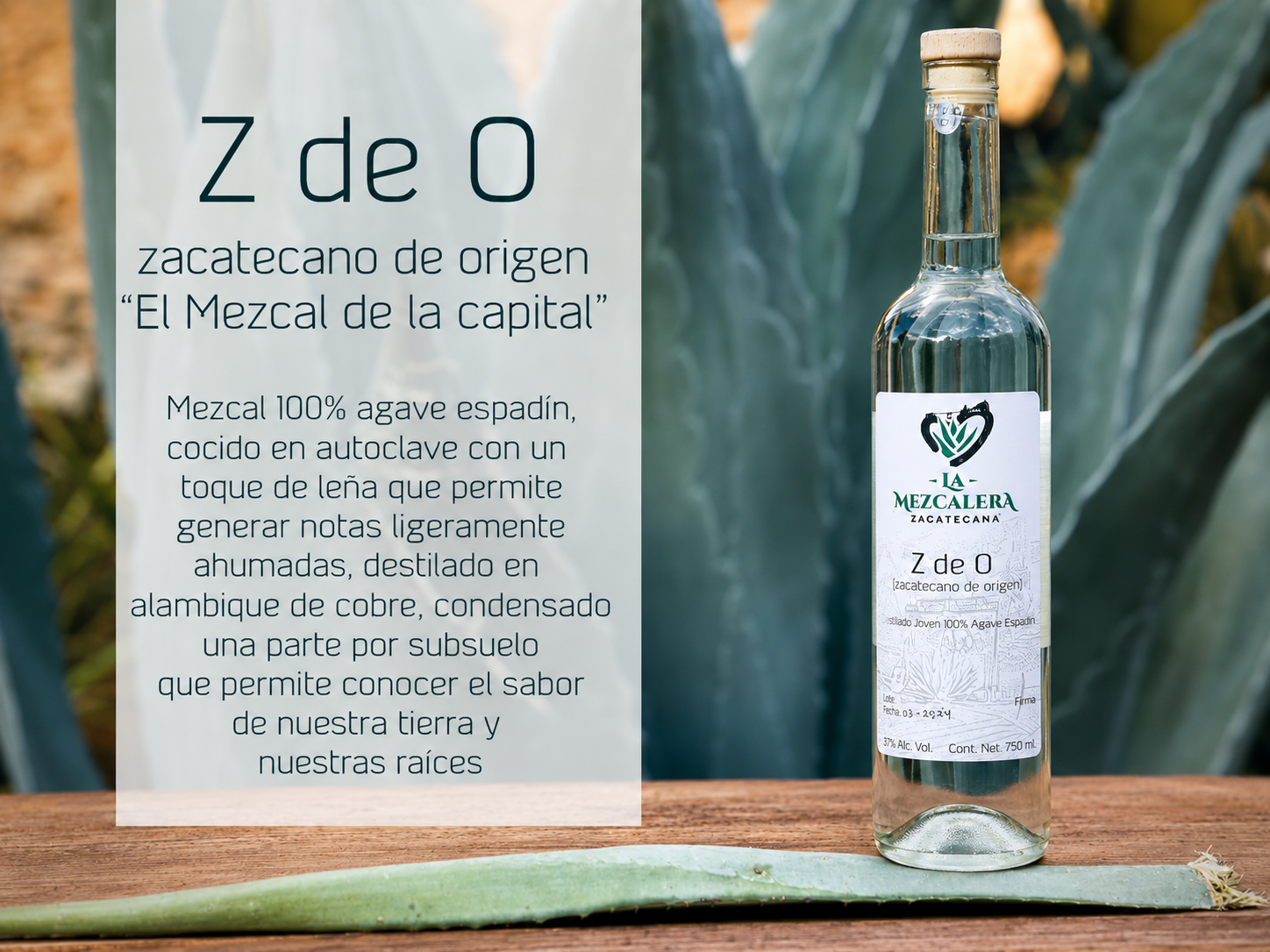 La Mezcalera Zacatecana
